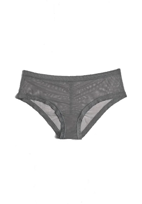 Mesh Lace Trim Hipster Panty In Lunar